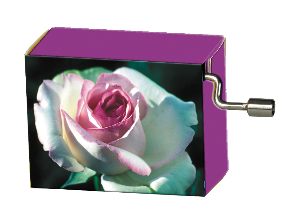 Fridolin Spieluhr, La vie en rose, Rose weiss/pink Nr. 58095